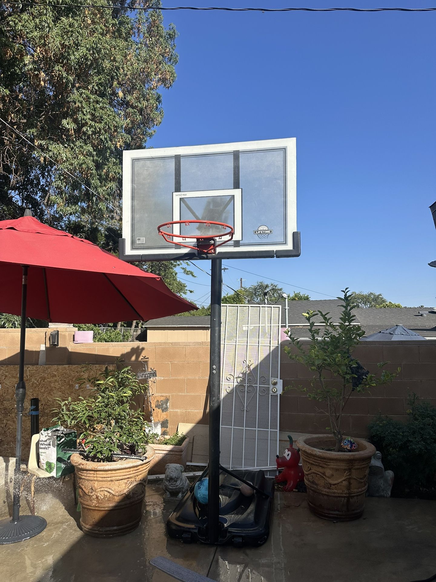 Basketball Hoop