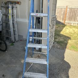 Ladder 6ft 