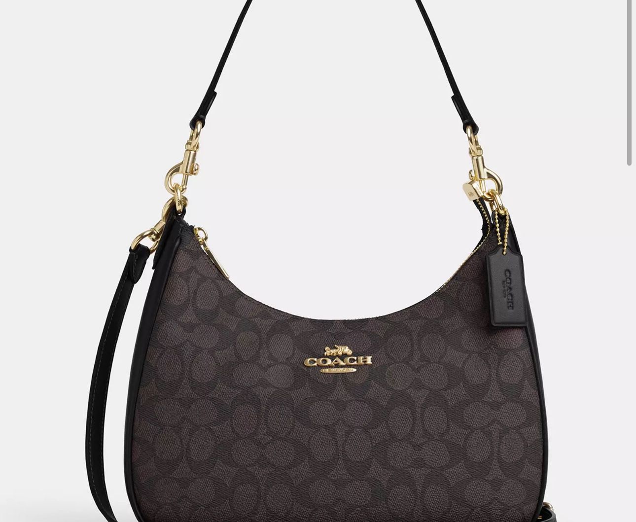 Coach Terri Hobo Bag