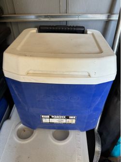 Cooler