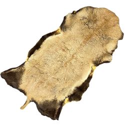 Deer Skin Fur Hide Rug Taxidermy Hunting Rustic Cabin Wall Hanging 42" x 22"