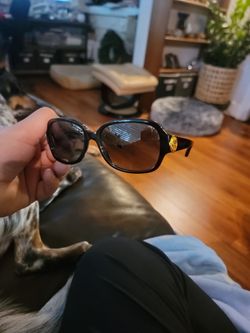Coach Sunglasses