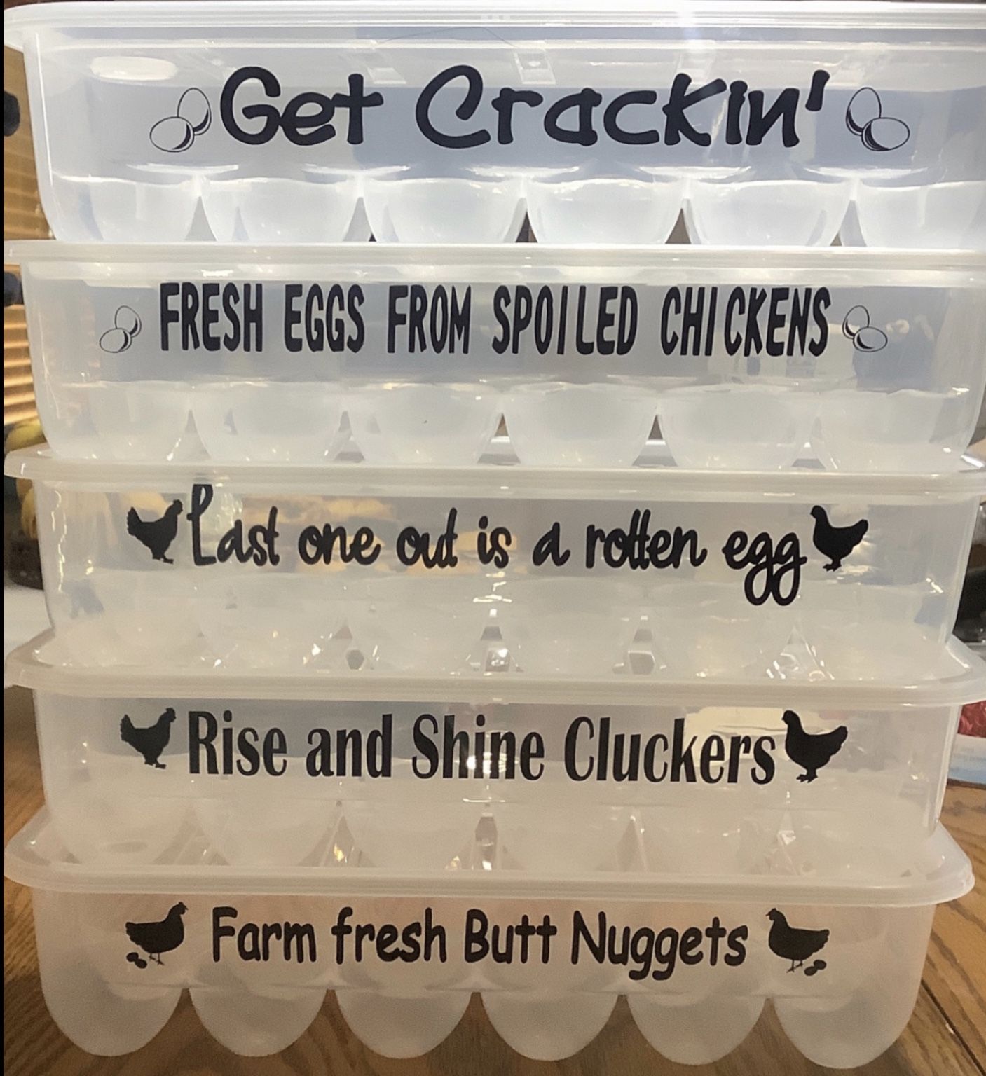 Egg Storage Container 