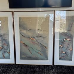 Professionally Framed Triptych 