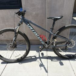Specialized Mountain Bike 