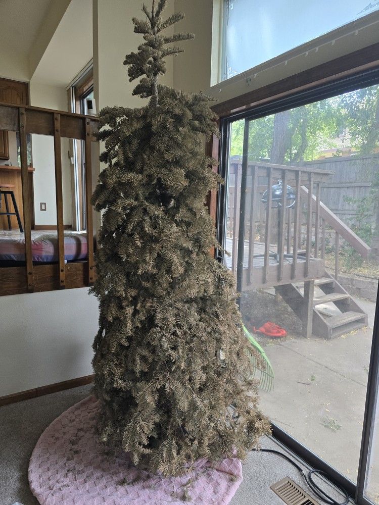 FREE 8 Ft Dry Xmas Tree For Firewood, Etc