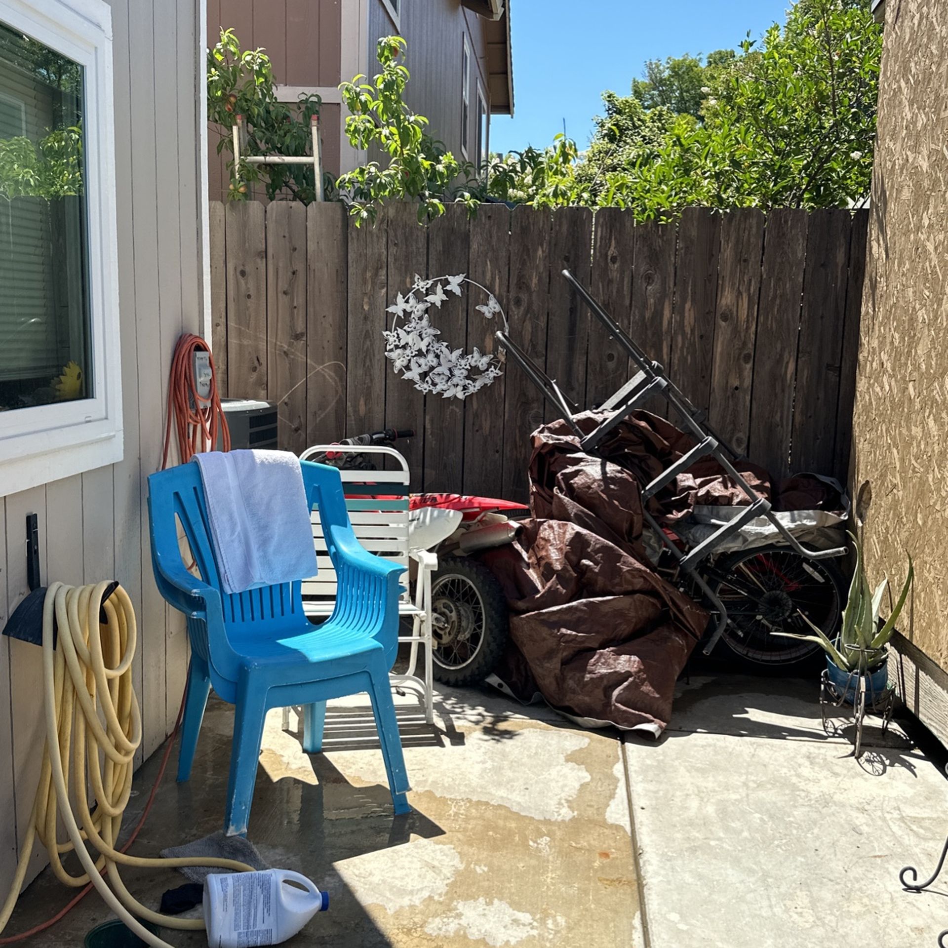 Butterfly Outdoor Decor