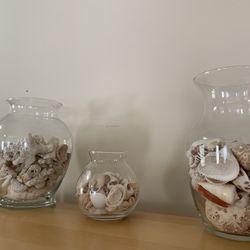 3 Various Shaped Clear Glass Vases ($8-12)