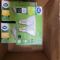 LED Flood Light Bulbs