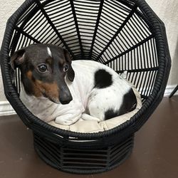 Boho Dog Bed