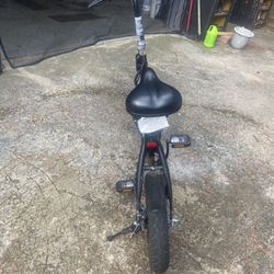 Atlas Pro Fat Tire Electric Bike