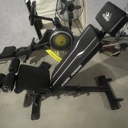 FLYBIRD Strength Training Bench for Home Gym, Adjustable Weight Bench can be Folded for Storage/Vertical Storage, Space-Saving Workout Bench 