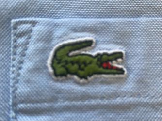Lacoste Light Blue Button Down Shirt - Size Large - Excellent Condition