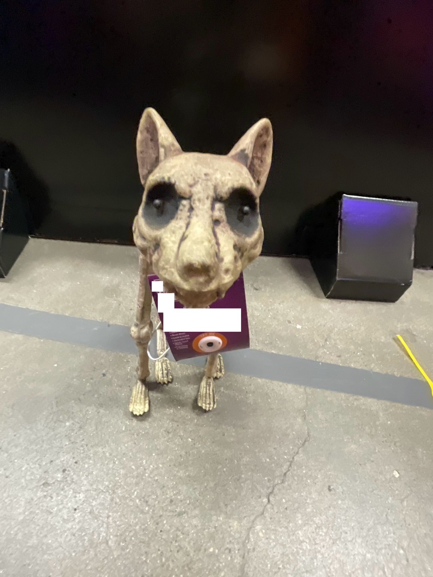 Animated LED Decayed Skeleton Cat - Brand New
