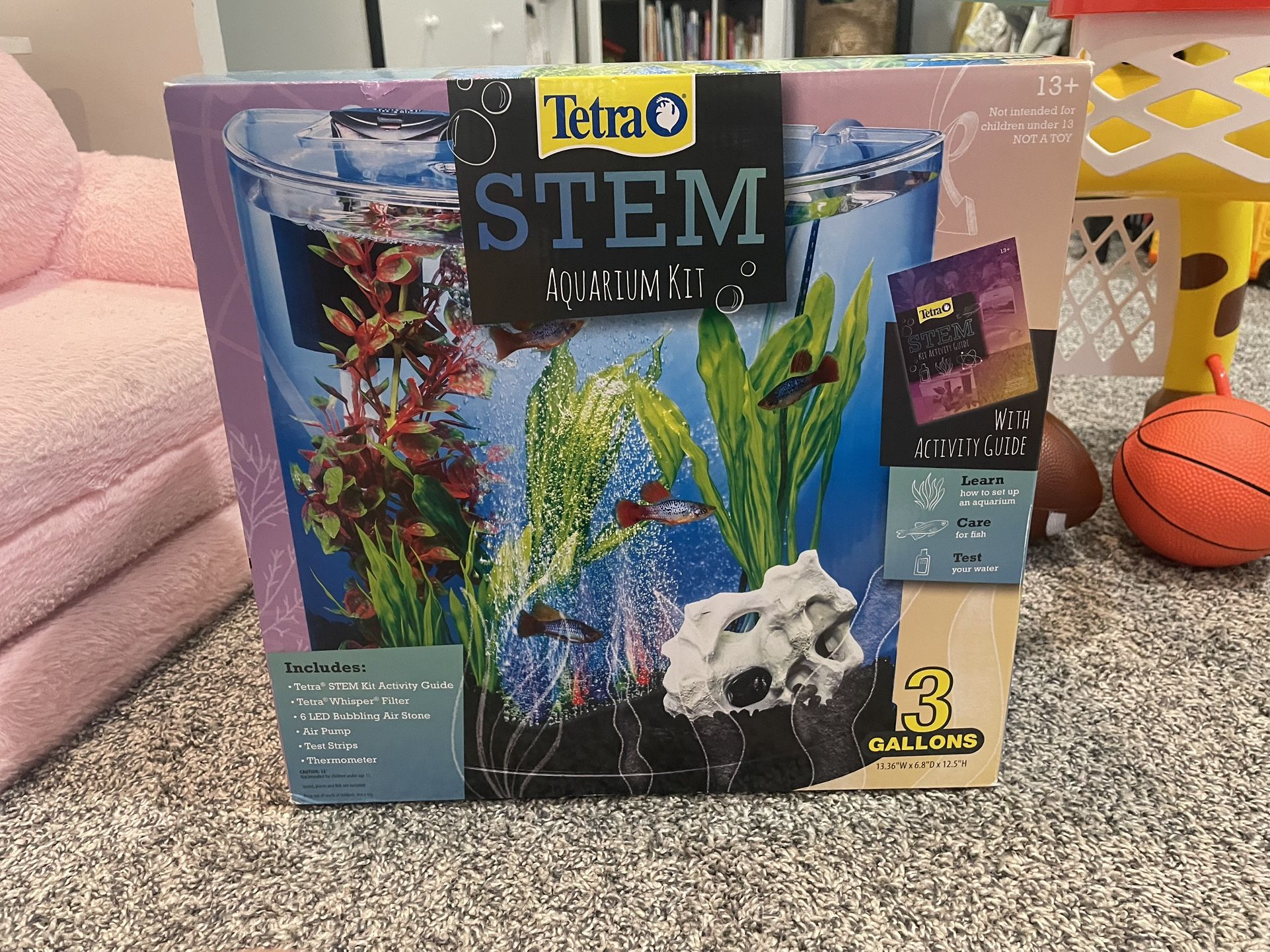 Stem Kids aquarium kit