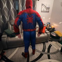 Spider-Man costume