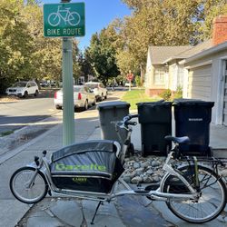 Gazelle Cabby Bicycle 