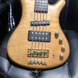 Warwick F.N.A Jazzman 5 Strings A Chance Of A Lifetime To Own It