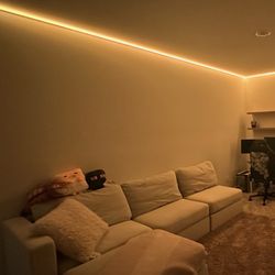 Lovesac Sectional Couch