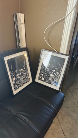 Set of 2 wall art pictures
