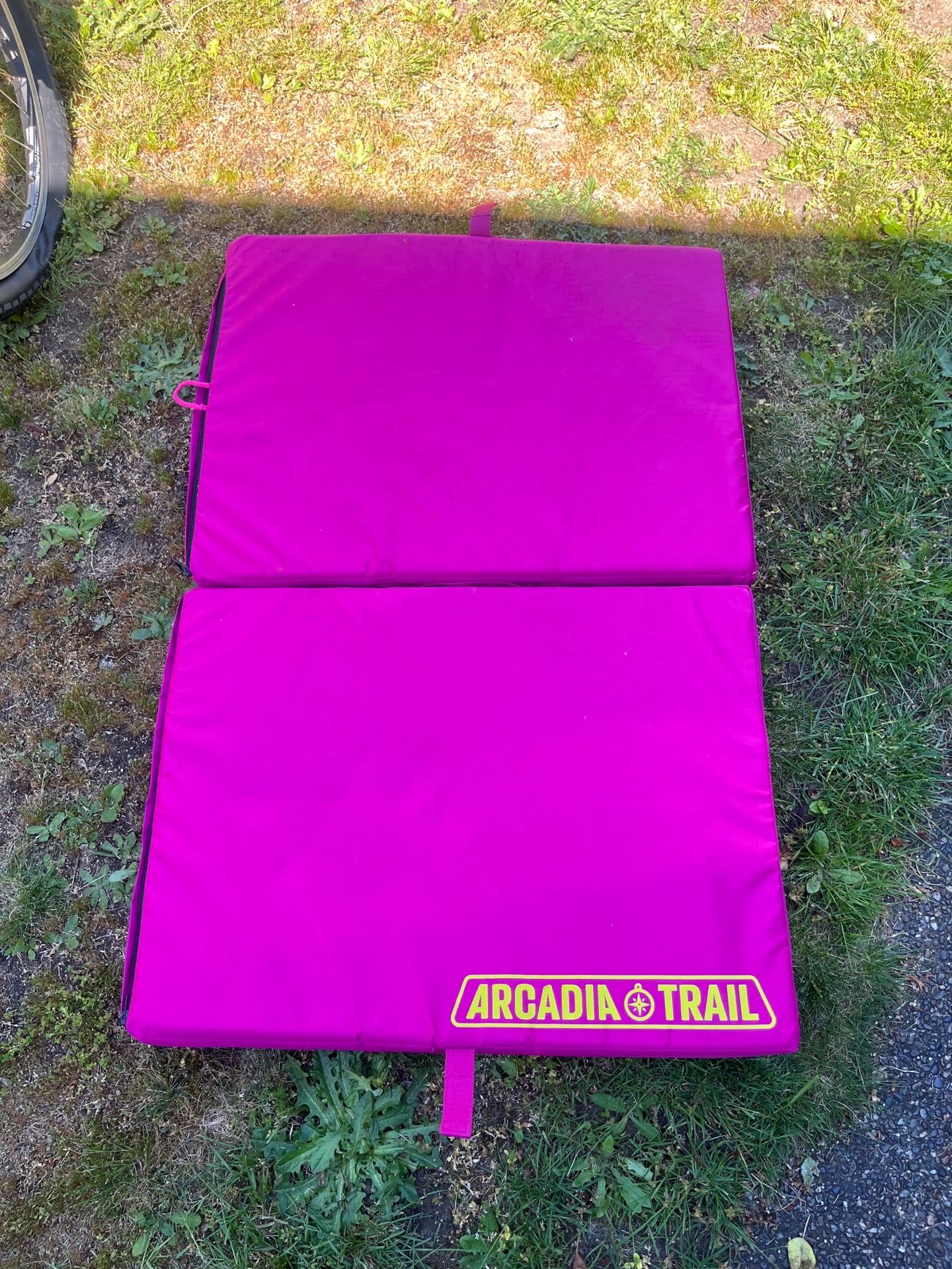 Arcadia Dog Bed