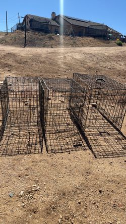Dog cages