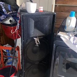 Peavey Speaker