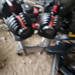 Bowflex Dumbells 5-52 With Stand 