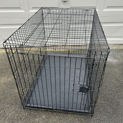 Large Dog Crate- Collapsible 