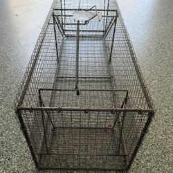 Pied Piper Live Animal Trap