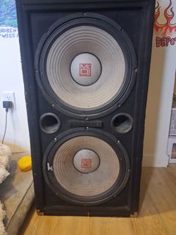Dj two 15 inch subwoofers