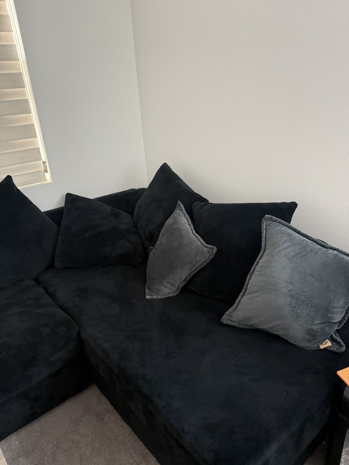 Sectional Couch 