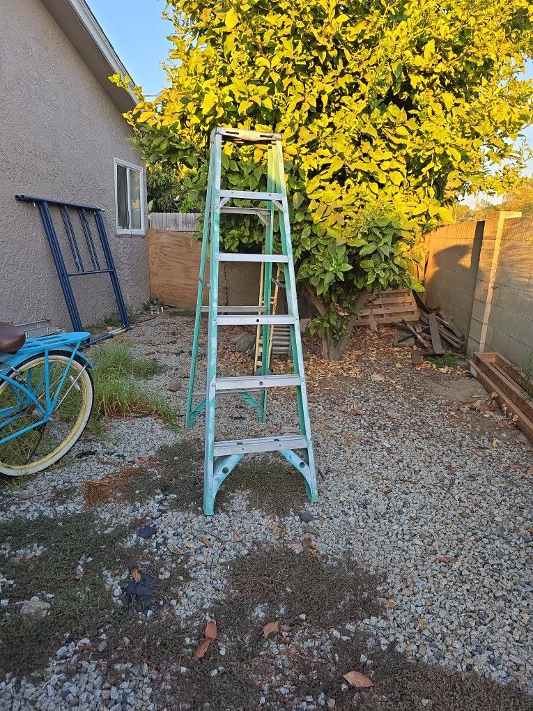 6ft Ladder Werner