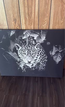 Leopard Frame