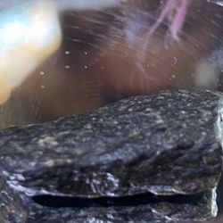 Unclassified  Black Beauty Meteorite