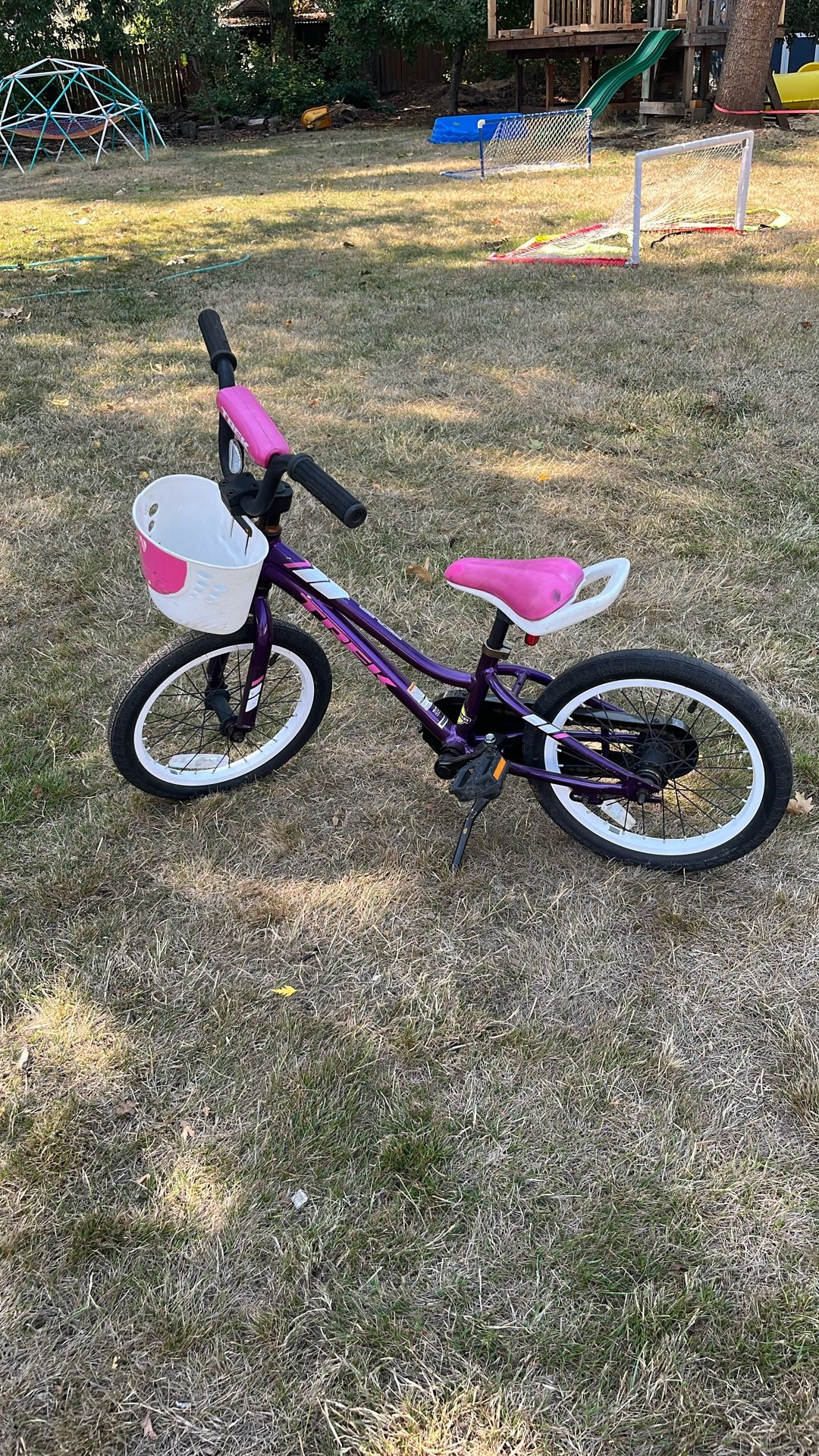 Kids Trek Bike Purple With Basket 