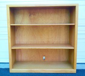 Bookcase with 2 Adjustable Shelves