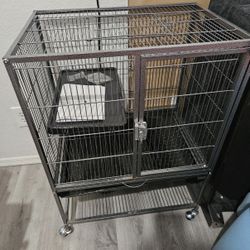 Bird Cage 