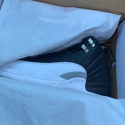 Jordan Playoff 12