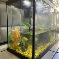 Aquarium 30 Gallons 