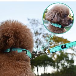 Reflective Dog Leash