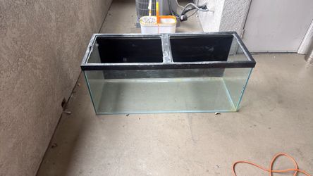 80 gallon aquarium