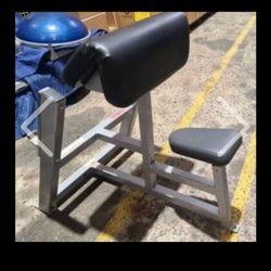 Preacher Curl Bench Star Trac
