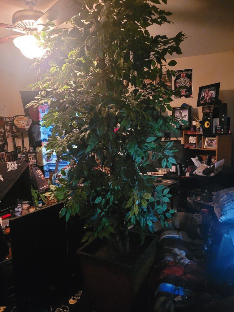 Fake Tree