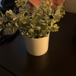 Fake Plant 