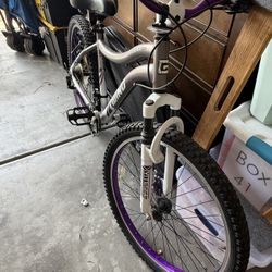 Mountain Bike