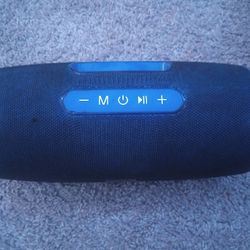 Portable Wireless Speaker (TG187)