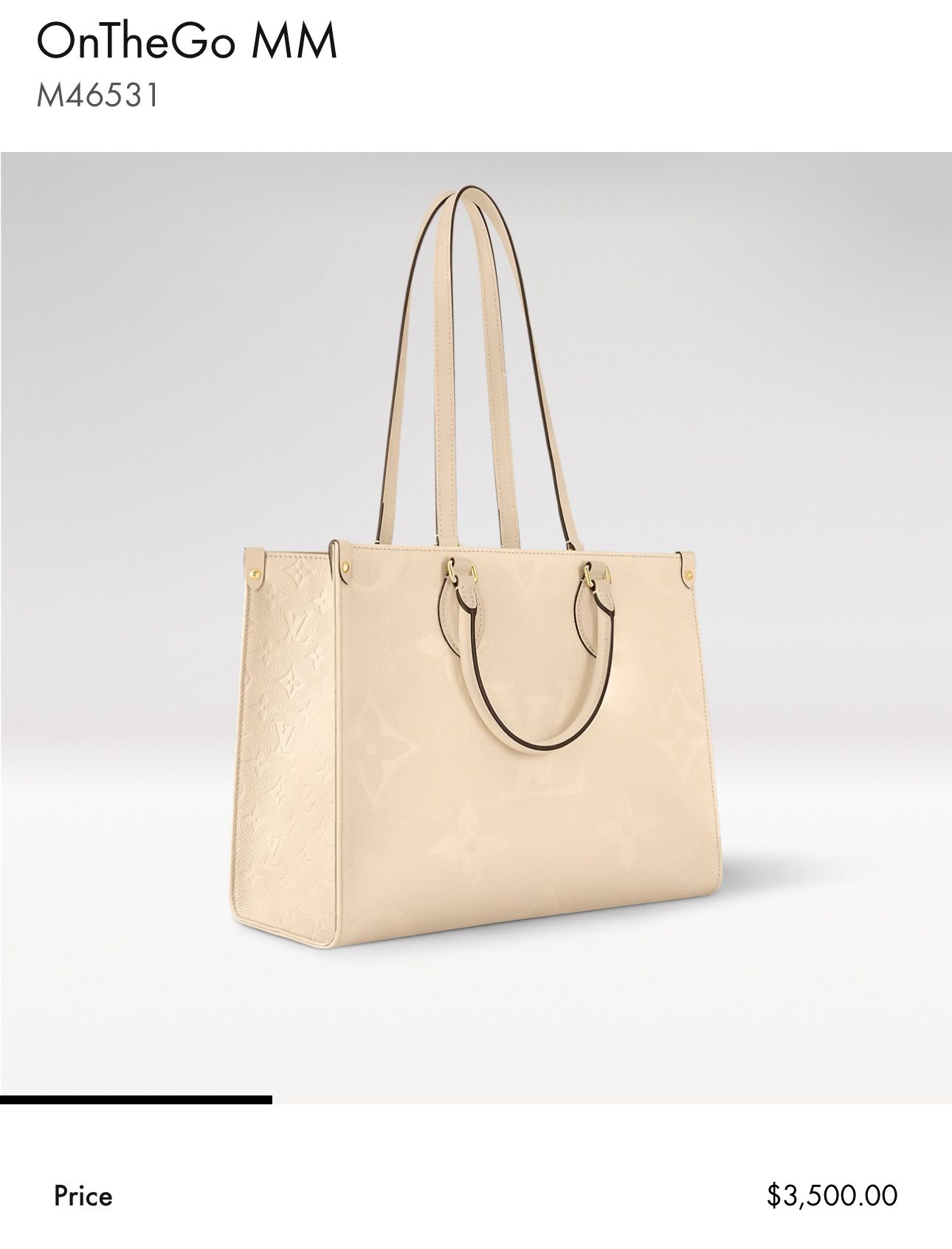 Louis Vuitton Bag