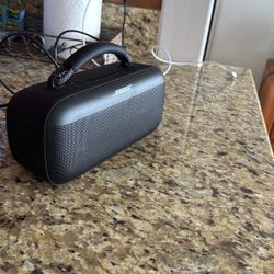 Bose Link Max 