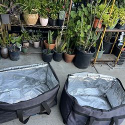 Hot/ Cold Bags Set 12 Dlrs